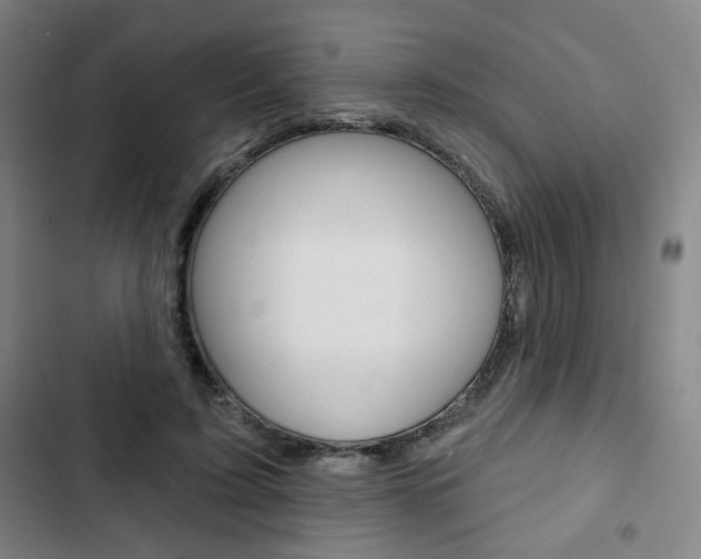 X0000103320595200809051001