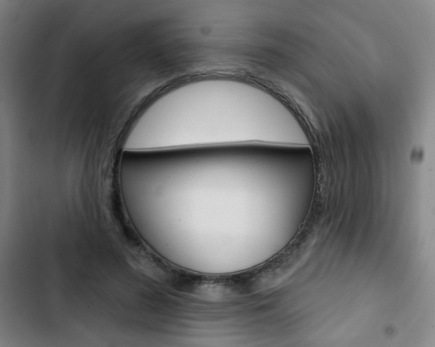 X0000103320596200809051001