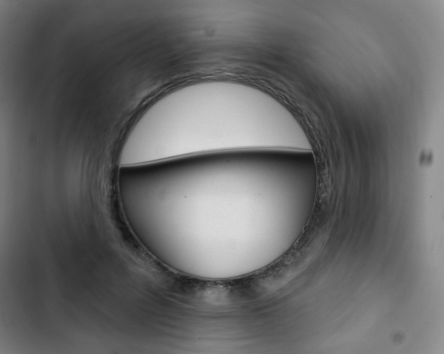 X0000103320600200809051001