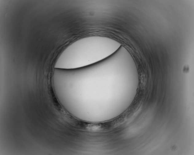 X0000103320602200809051001