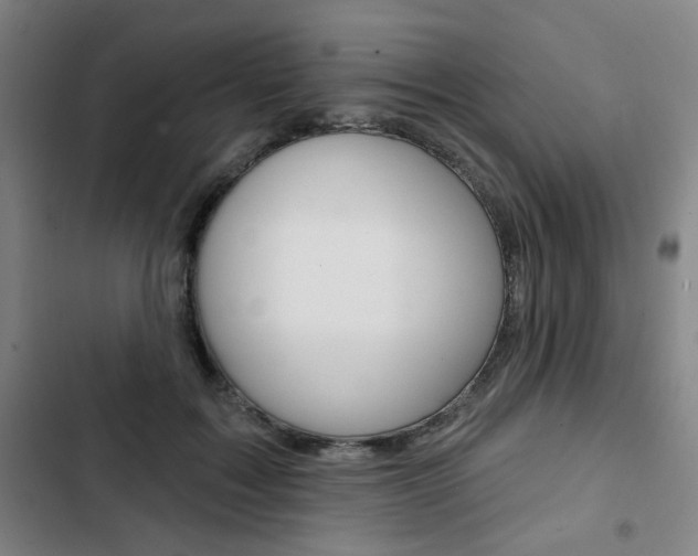 X0000103320603200809051001