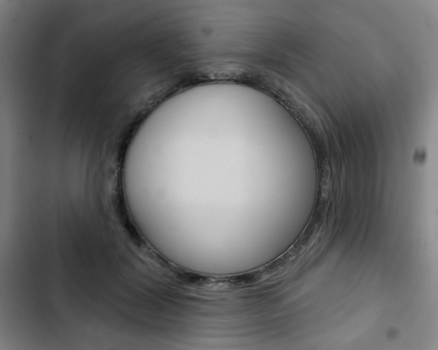 X0000103320604200809051001