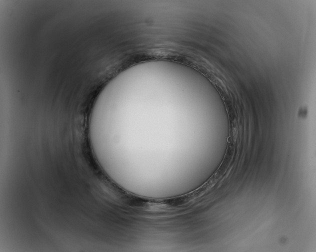 X0000103320605200809051001
