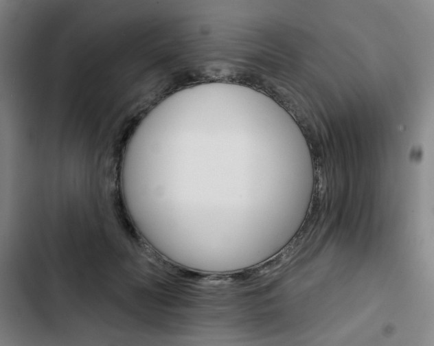 X0000103320606200809051001