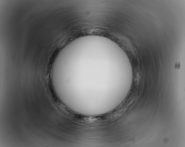 X0000103320607200809051001