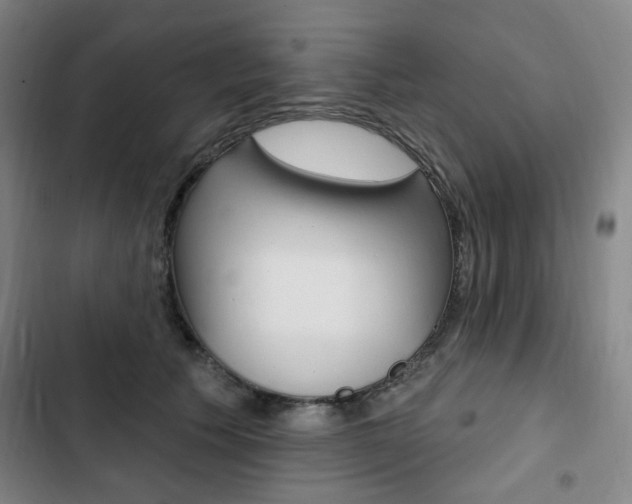 X0000103320609200809051001