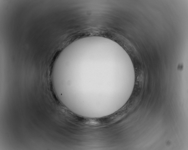 X0000103320610200809051001