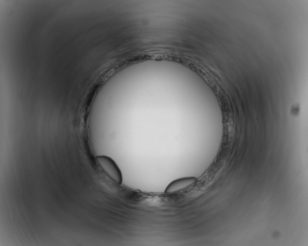 X0000103320611200809051001