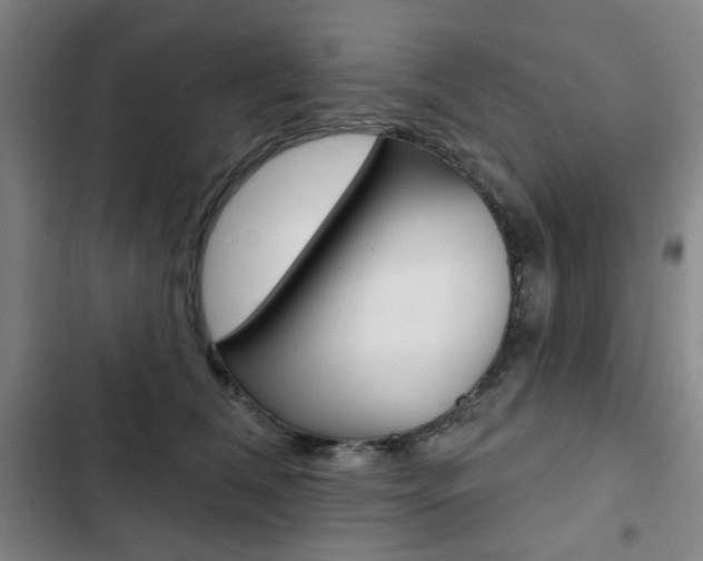 X0000103320612200809051001