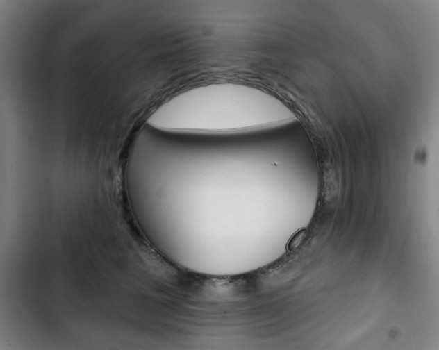 X0000103320613200809051001