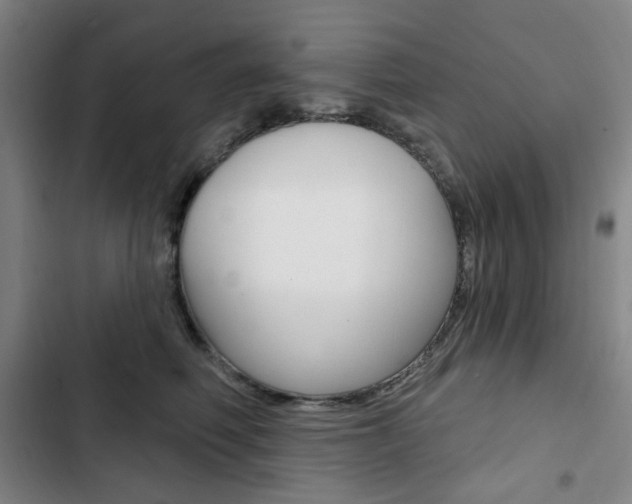 X0000103320614200809051001