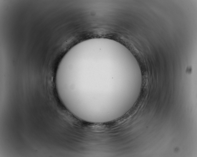 X0000103320615200809051001