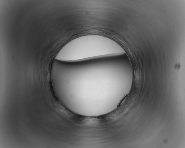 X0000103320617200809051001