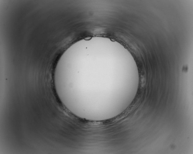 X0000103320618200809051001
