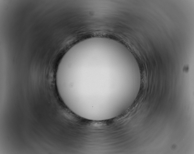 X0000103320619200809051001