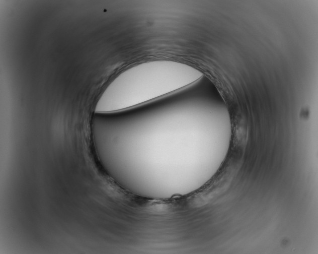 X0000103320620200809051001