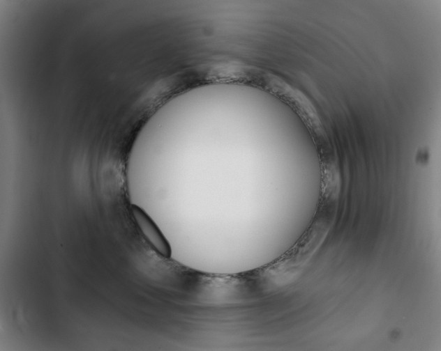 X0000103320621200809051001