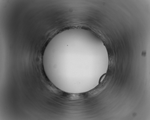 X0000103320623200809051001