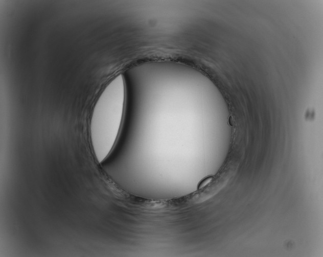 X0000103320624200809051000