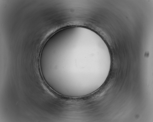 X0000103320625200809051000