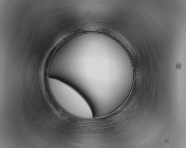 X0000103320626200809051000