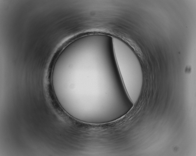 X0000103320628200809051000