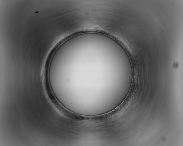 X0000103320630200809051000