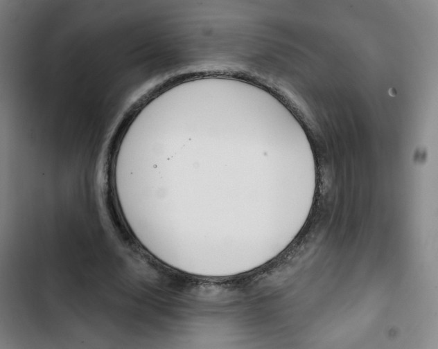 X0000103320632200809051000