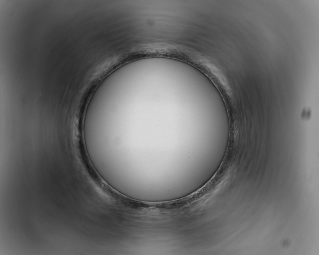 X0000103320633200809051000