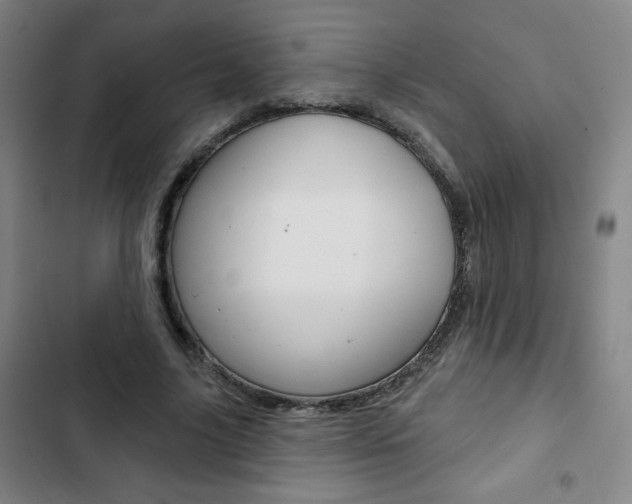 X0000103320635200809051000
