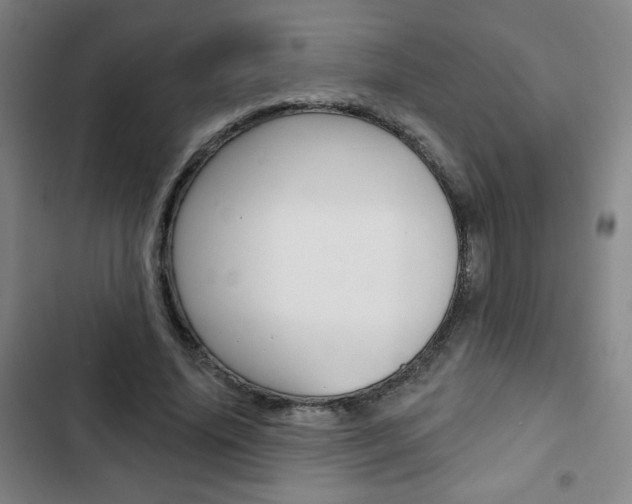 X0000103320636200809051000