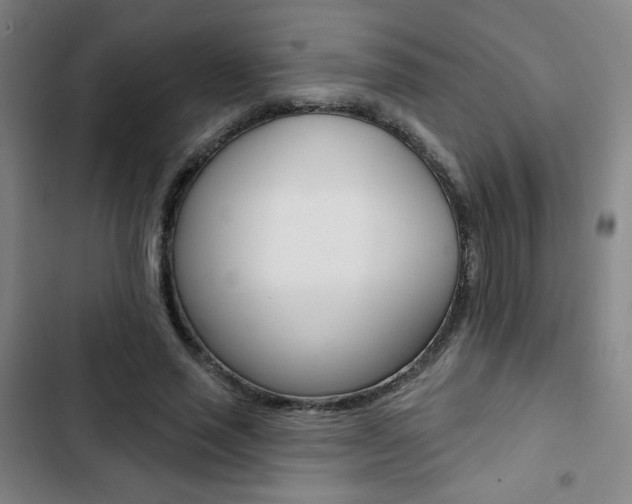 X0000103320637200809051000
