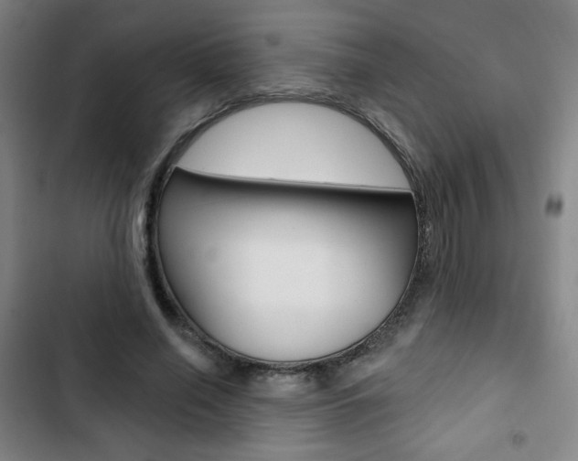 X0000103320638200809051000