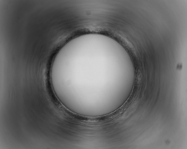 X0000103320639200809051000