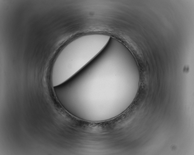 X0000103320640200809051000