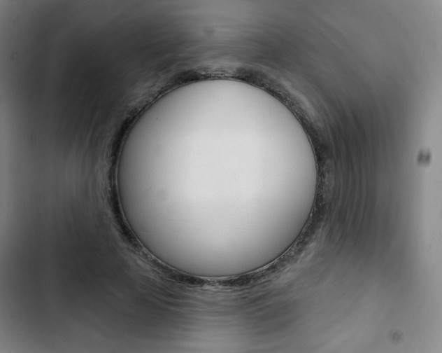 X0000103320641200809051000