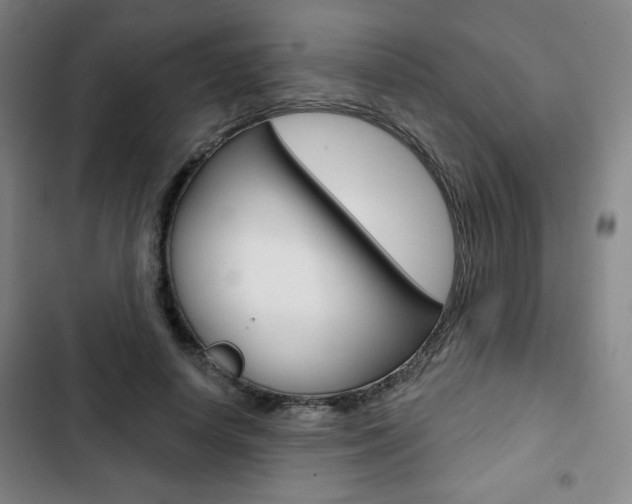X0000103320642200809051000