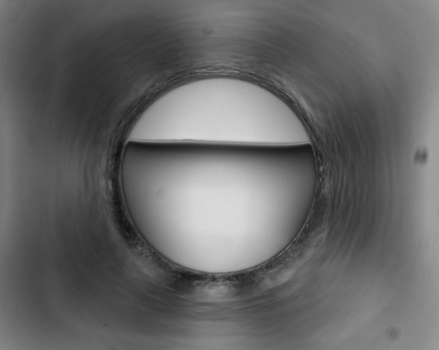 X0000103320643200809051000