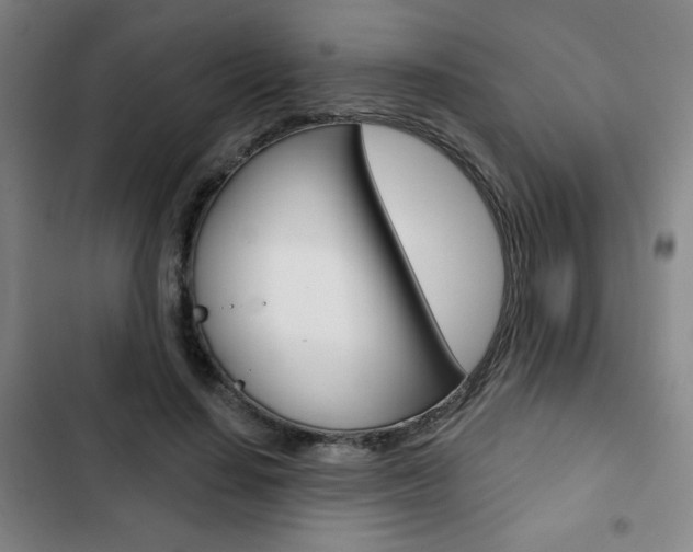 X0000103320644200809051000