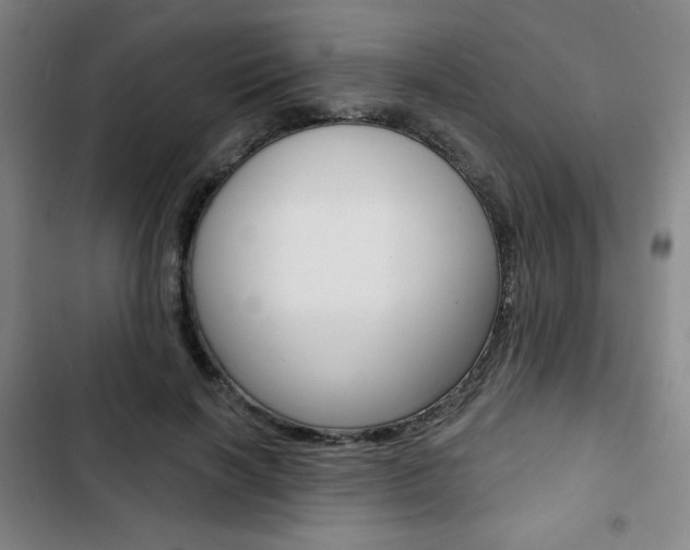 X0000103320646200809051000