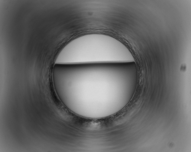 X0000103320647200809051000