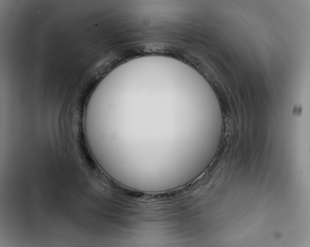 X0000103320648200809051000