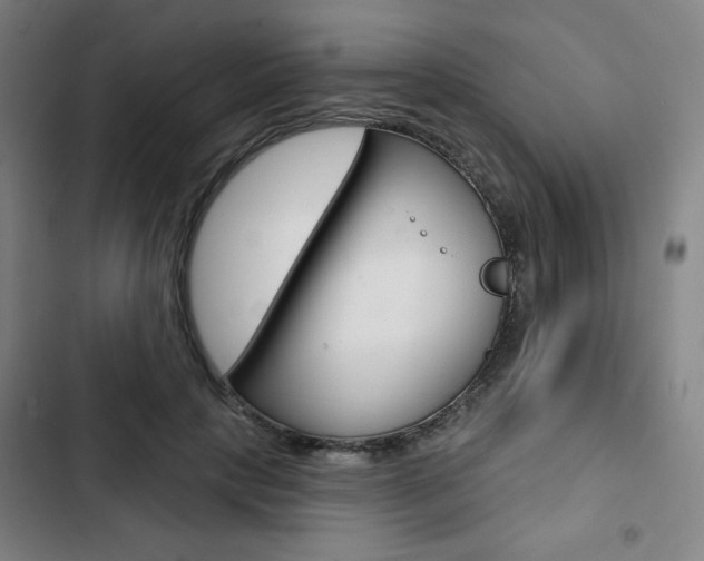 X0000103320649200809051000