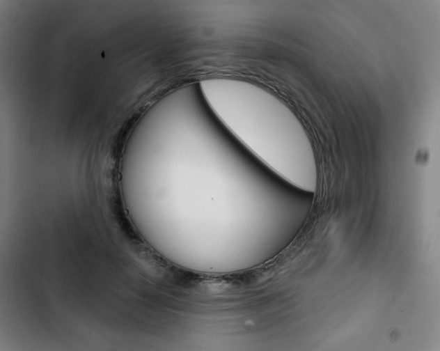 X0000103320650200809051000
