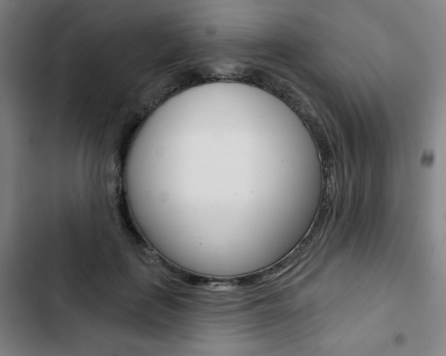 X0000103320651200809051000