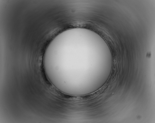 X0000103320652200809051000
