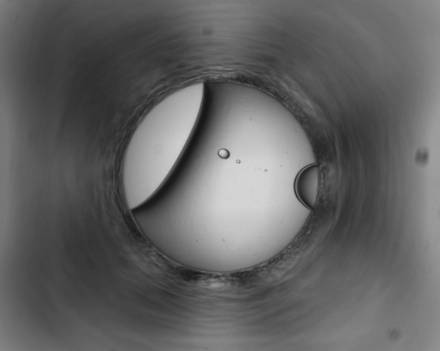 X0000103320655200809051000