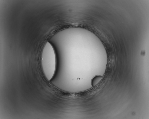 X0000103320656200809051000