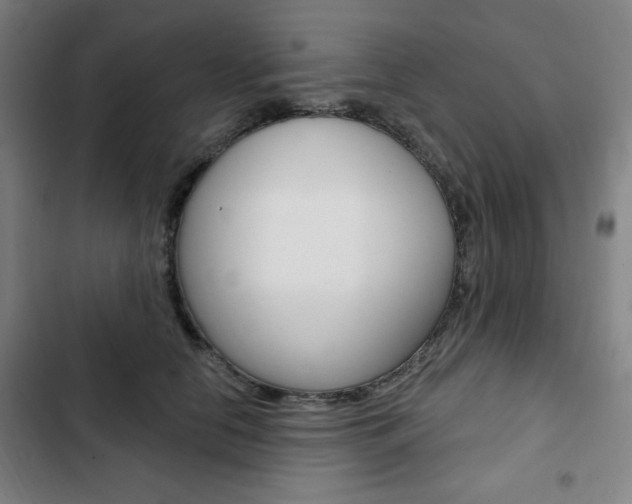 X0000103320658200809051000