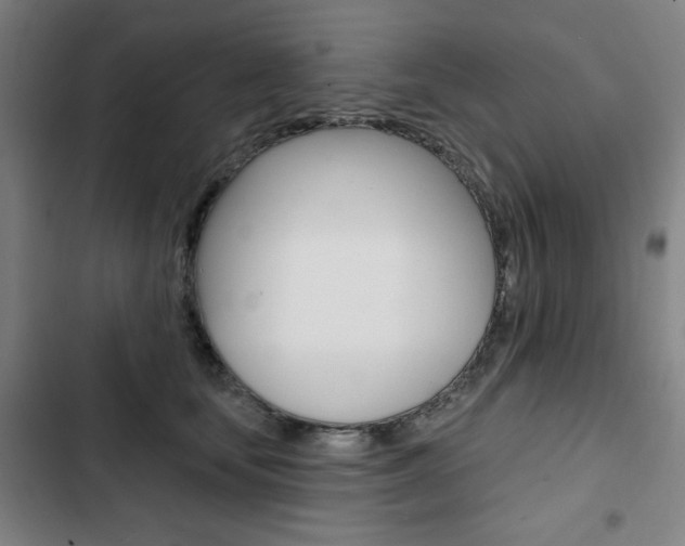 X0000103320659200809051000